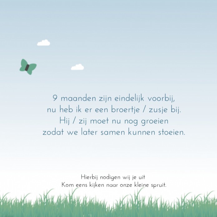 In de trein - lichtbruin jongen binnen
