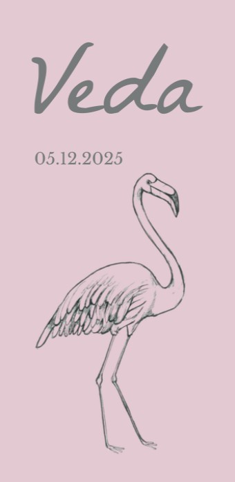 Kaart met een flamingo