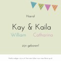 Tweelingen babykamer - Aziatisch jongen/meisje binnen