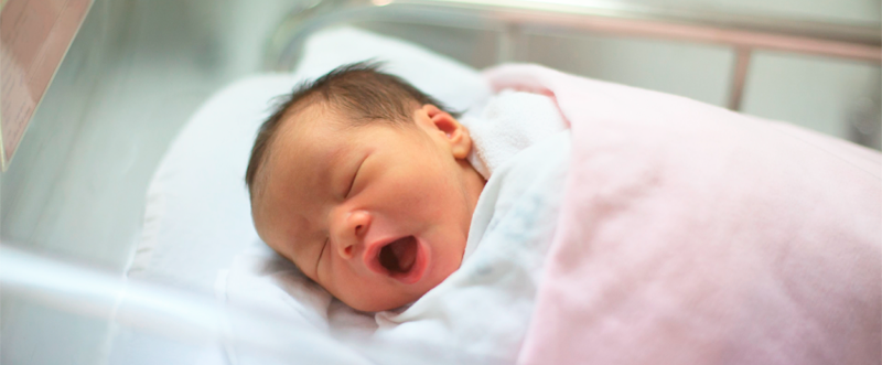 geïrriteerd raken Sluipmoordenaar jacht 5 bizarre feiten over baby's